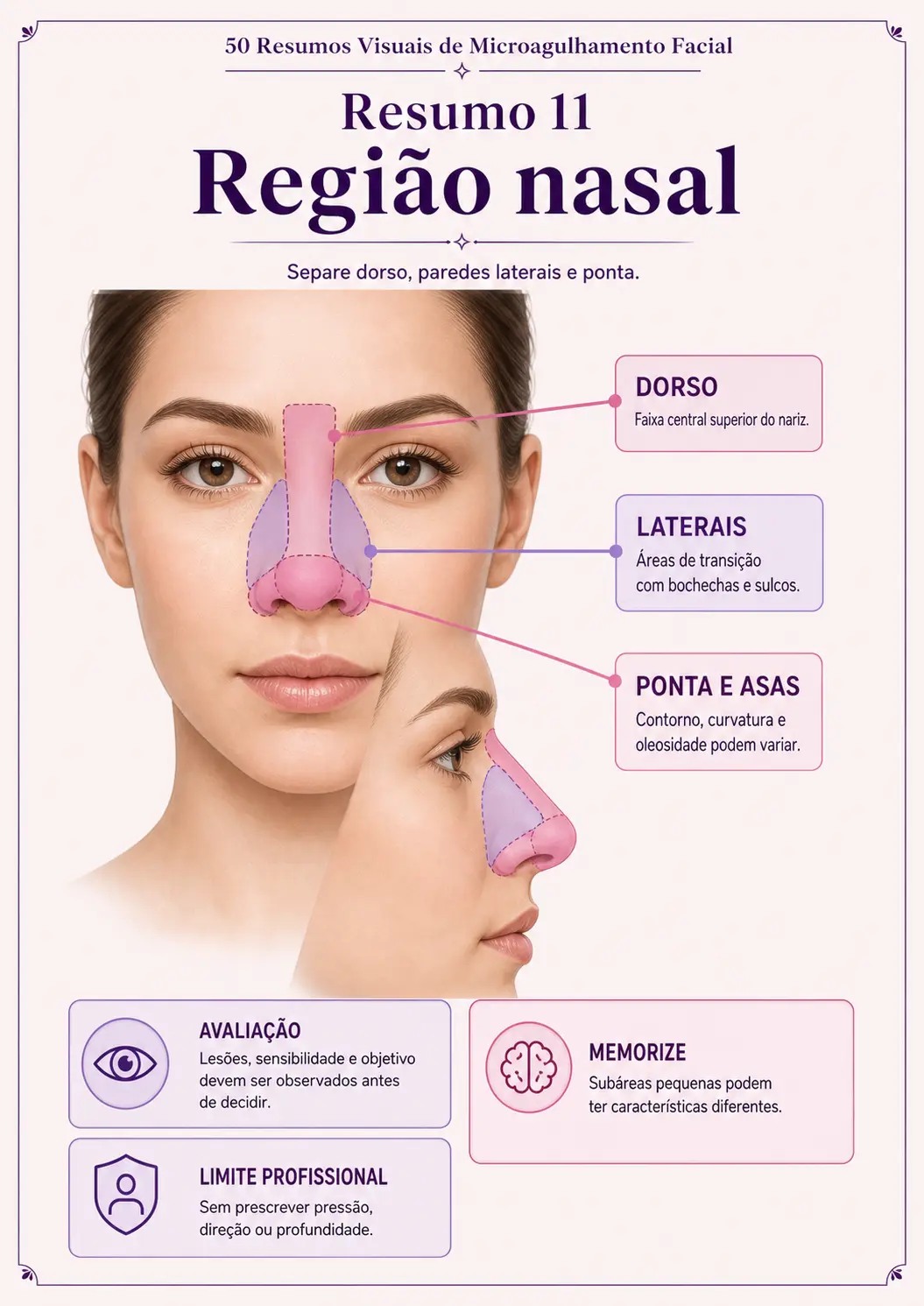 Prévia 7 do produto