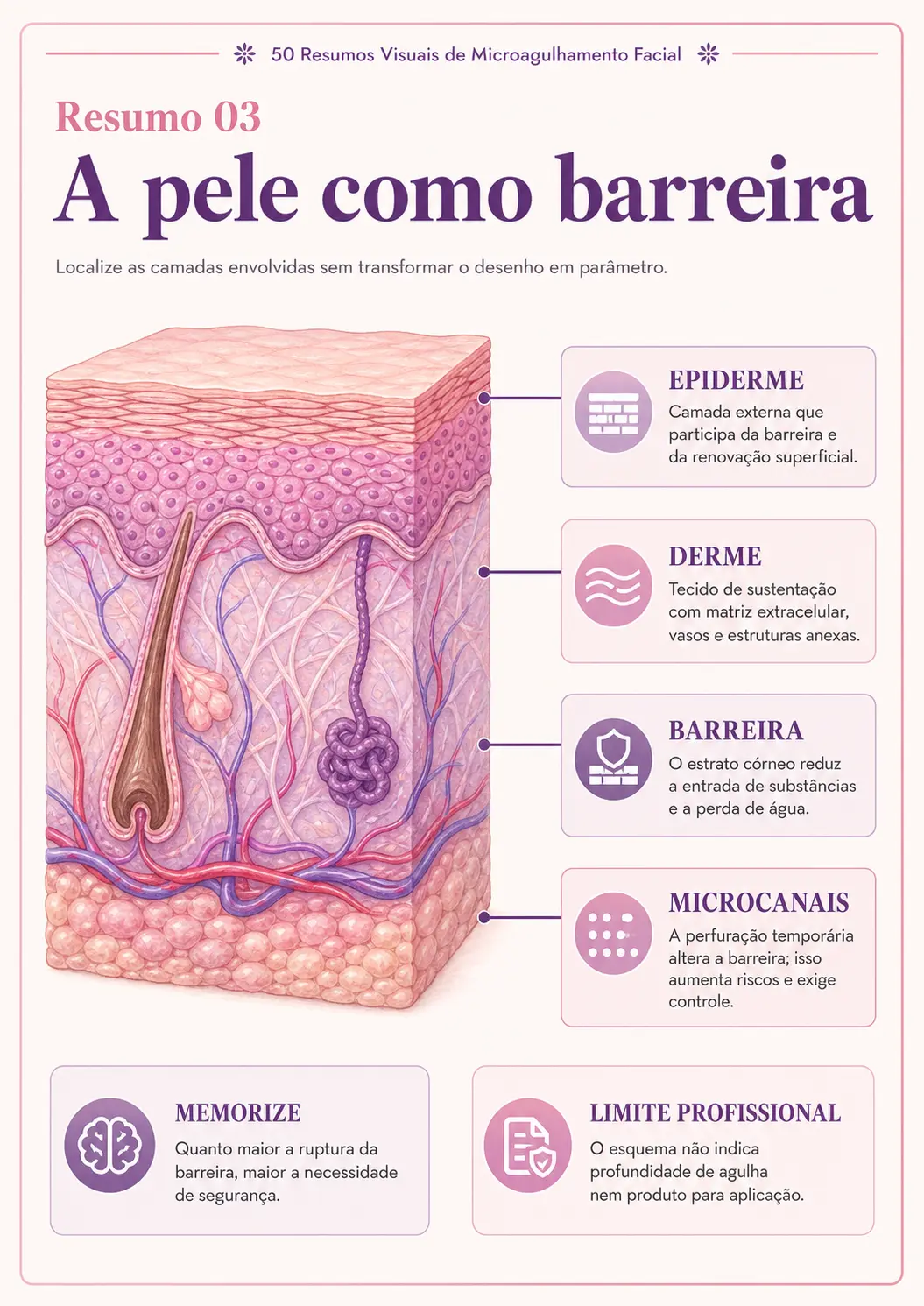 Prévia 8 do produto